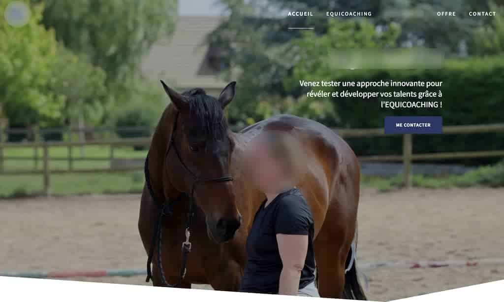Beau site equicoach sans visite 22